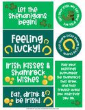 St. Patrick's Day You've Been Shamrocked Game