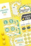 Lemonade Stand Kit