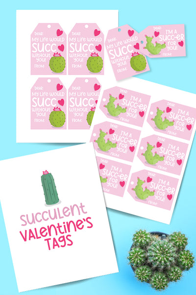 Valentine's Day Succulent Tags