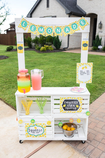 Diy Lemonade Stand Kit – Modernmomlife